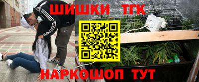 прущие грибы Камышлов