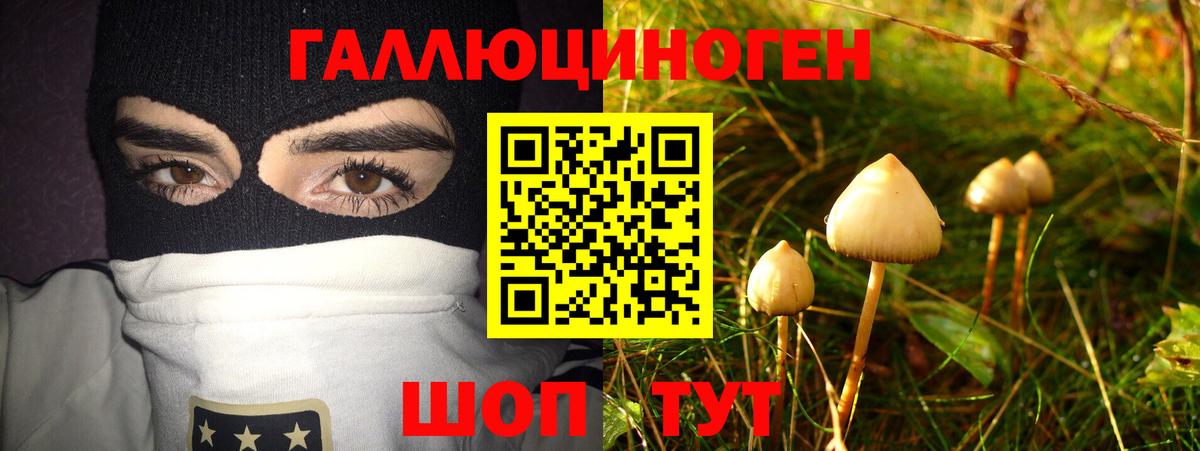 Костомукша  Галлюциногенные грибы мухоморы  Вход с VPN  Псилоцибиновые грибы Psilocybe 